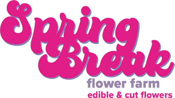 Spring Break Flower Farm